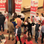 Участие преподавателей и студентов кафедры СиГХ в форуме Общественной палаты РФ «Сообщество»